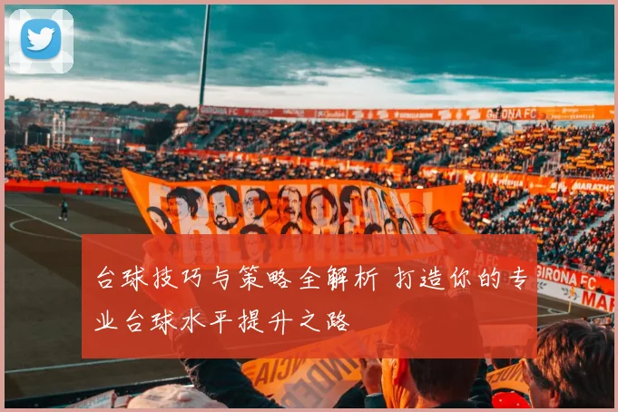 台球技巧与策略全解析 打造你的专业台球水平提升之路