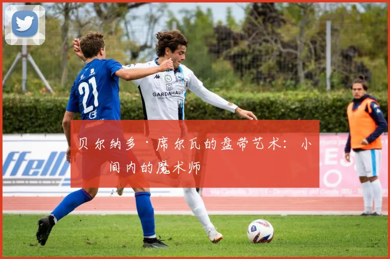 贝尔纳多·席尔瓦的盘带艺术：小空间内的魔术师