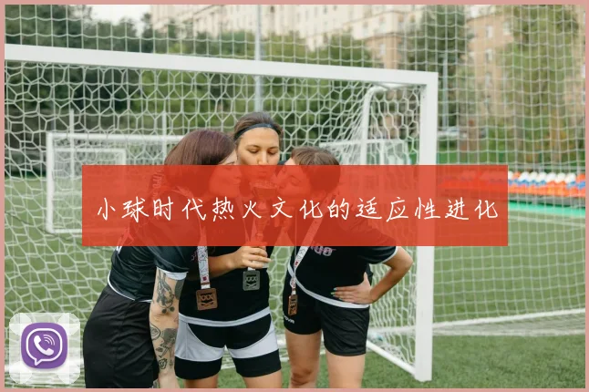 小球时代热火文化的适应性进化
